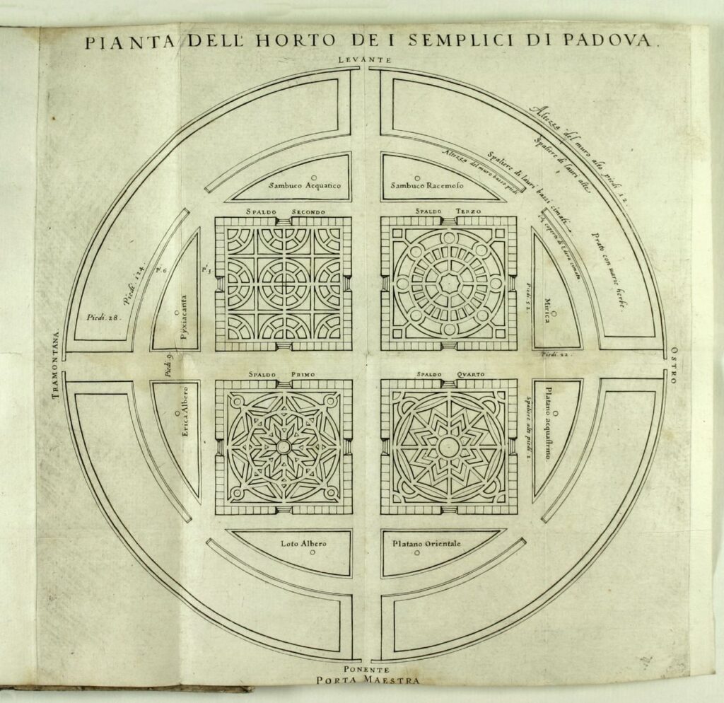 Mappa dell'Orto botanico di Padova